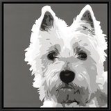 West Highland Terrier
