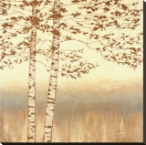 Birch Silhouette I