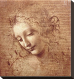Female Head (La Scapigliata)  c1508
