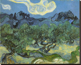 Landscape with Olive Trees