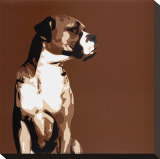 Boxer