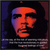 Che Guevara: Revolutionary