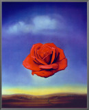 Rose Medidative  c1958