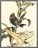 Oriental Bird on Branch II