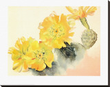 Yellow Cactus