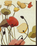 Pavots Ondule