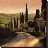 Country Lane  Tuscany