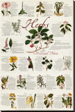 Herbs