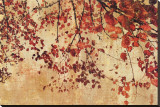Colorful Season I
