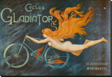 Cycles Gladiator