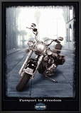 Passport to Freedom