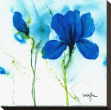 Lily II