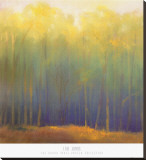 Deep Woods in Summer