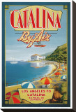 Catalina by Air