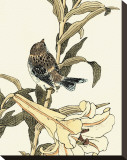 Oriental Bird on Branch II