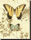 Nature's Curiosities VI