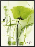 Coquelicot Vert II