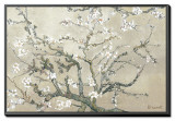 Almond Branches in Bloom  San Remy  c1890 (tan)