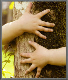 Conservation