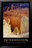 Determination