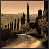 Country Lane  Tuscany