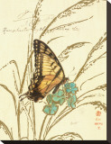 Nature's Curiosities I
