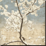 Cherry Blossoms I
