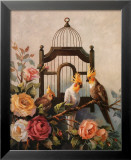 Cockatiel and Roses
