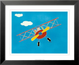Cat in a Plane I