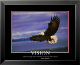 Patriotic Vision