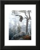 Shrouded Forest