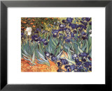 Irises  Saint-Remy  c1889