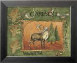 Caribou