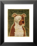Pit Bull