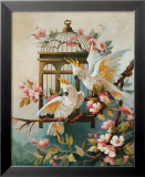 Cockatoo and Blossoms