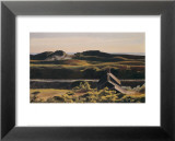 Hills  South Truro  1930