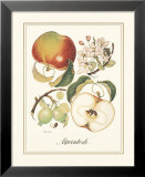 Macintosh