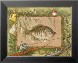 Crappie