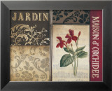Belle Jardin I