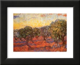 The Olive Grove  c1889