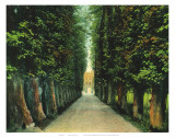 Trinity Avenue