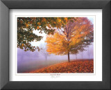 Autumn Mist