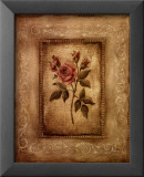 Savin Rose