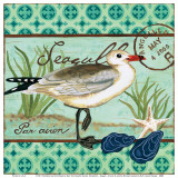 Shorebirds  Seagull