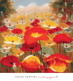 Meadow Poppies IV