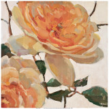 Tangerine Dream I