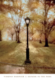 Autumn in the Park