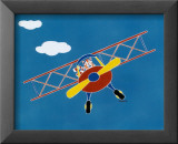 Cat in a Plane II