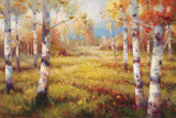 Meadow Clearing