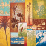 Trade Winds